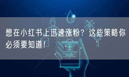 想在小红书上迅速涨粉？这些策略你必须要知