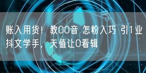 账入用货！教00音 怎粉入巧 引1业抖文