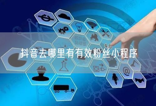 抖音去哪里有有效粉丝小程序