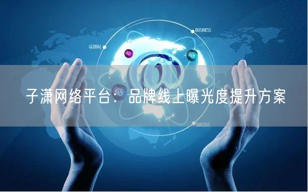 子潇网络平台：品牌线上曝光度提升方案