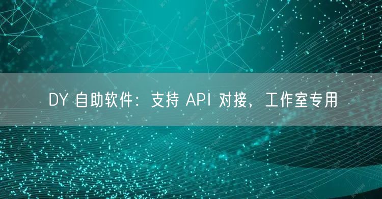 DY 自助软件：支持 API 对接，工作