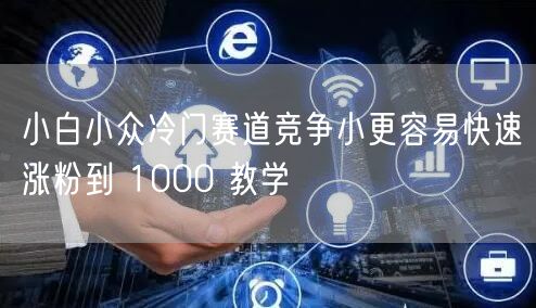 小白小众冷门赛道竞争小更容易快速涨粉到 