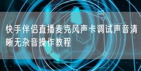 快手伴侣直播麦克风声卡调试声音清晰无杂音