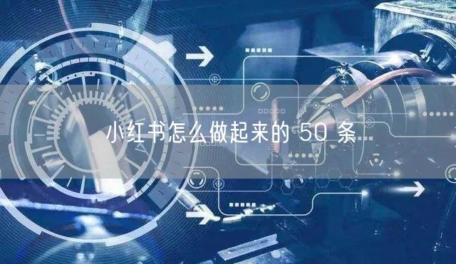 小红书怎么做起来的 50 条