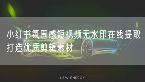 小红书氛围感短视频无水印在线提取打造优质