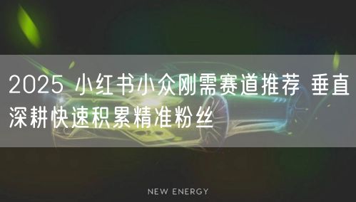 2025 小红书小众刚需赛道推荐 垂直深