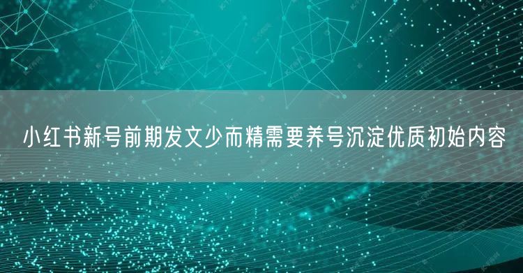 小红书新号前期发文少而精需要养号沉淀优质