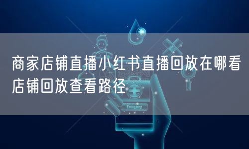 商家店铺直播小红书直播回放在哪看店铺回放