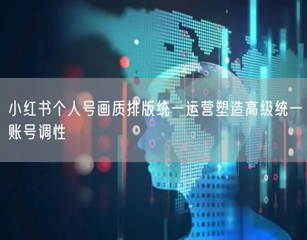 小红书个人号画质排版统一运营塑造高级统一