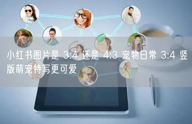 小红书图片是 3:4 还是 4:3 宠物