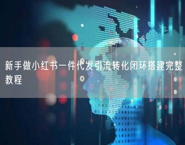 新手做小红书一件代发引流转化闭环搭建完整