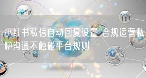 小红书私信自动回复设置 合规运营私聊沟通