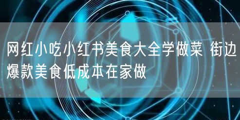 网红小吃小红书美食大全学做菜 街边爆款美
