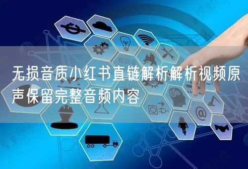 无损音质小红书直链解析解析视频原声保留完