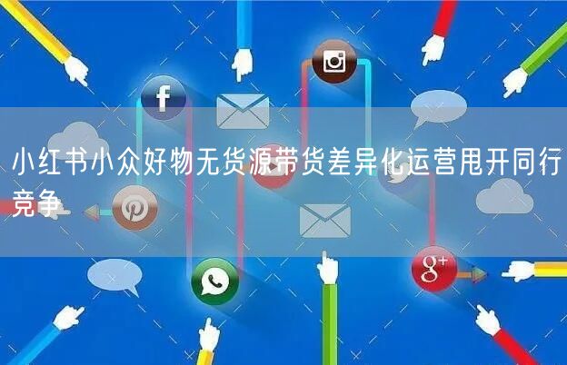 小红书小众好物无货源带货差异化运营甩开同