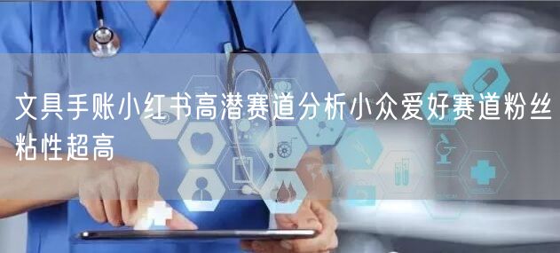 文具手账小红书高潜赛道分析小众爱好赛道粉