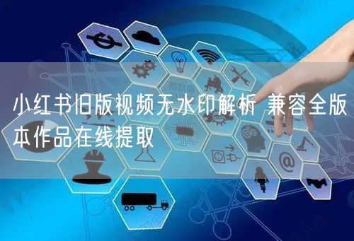 小红书旧版视频无水印解析 兼容全版本作品