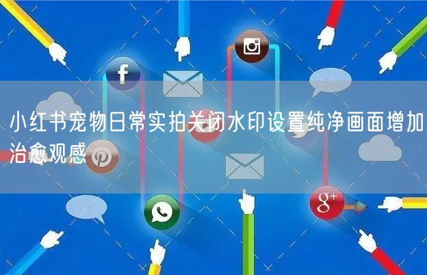 小红书宠物日常实拍关闭水印设置纯净画面增