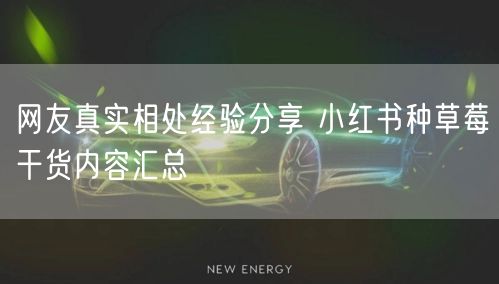 网友真实相处经验分享 小红书种草莓干货内