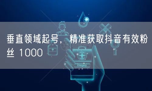 垂直领域起号，精准获取抖音有效粉丝 10