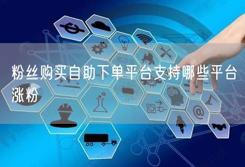 粉丝购买自助下单平台支持哪些平台涨粉