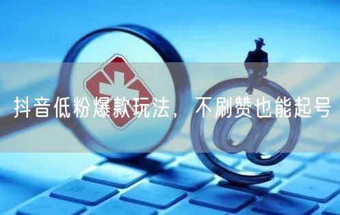 抖音低粉爆款玩法，不刷赞也能起号