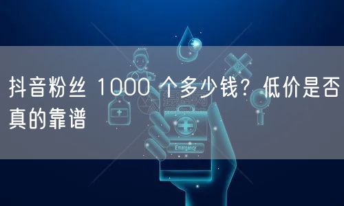抖音粉丝 1000 个多少钱？低价是否真