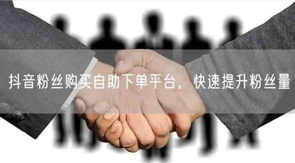 抖音粉丝购买自助下单平台，快速提升粉丝量